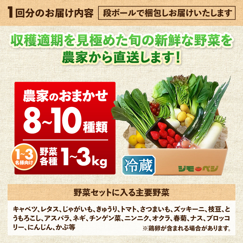 a40-103　【定期便 全4回】ジモベジ 野菜 セット
