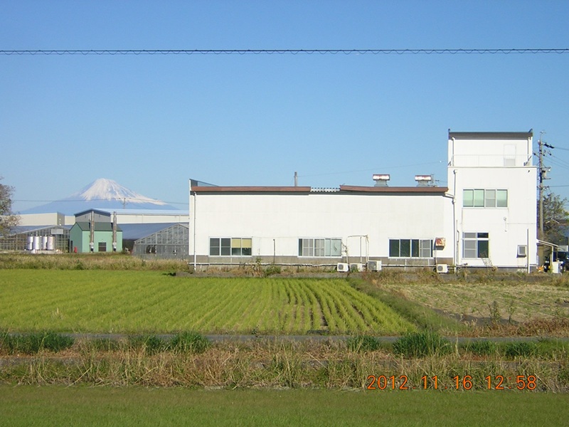 b220-003　【定期便6回分】深海鮫肝臓油　アクアマリン300mg×100粒（約1ヶ月分）6回定期便