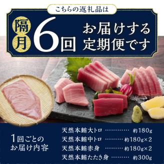 b300-016　定期便 天然本まぐろ 6回隔月でお届け