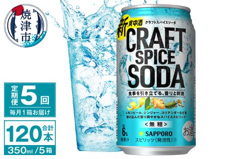 T0077-1305　【定期便5回】サッポロ クラフトスパイスソーダ 350ml×24本