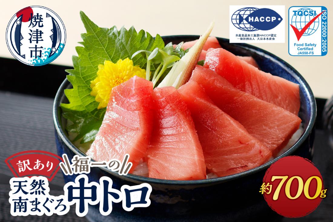a10-1000　マグロ 中トロ 訳あり 刺身 ミナミマグロ 中トロ 切り落とし 約700g