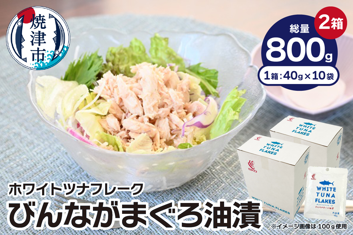 a10-1206　SKOホワイトツナフレーク　びんながまぐろ油漬　40ｇ×10袋×2
