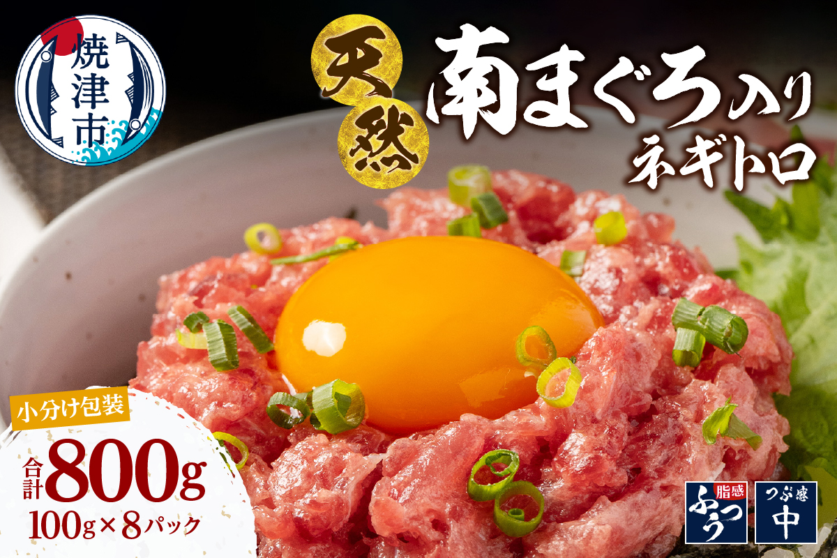 a10-1274　南鮪入り 焼津 海の極 ネギトロ 小分け 計800g 100g×8パック