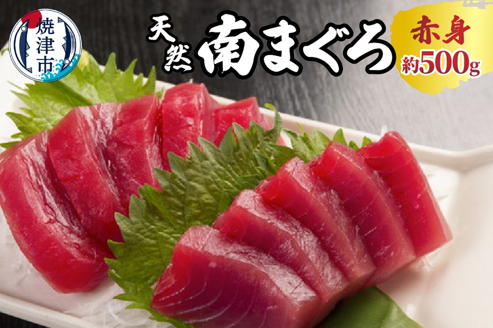 a10-244　焼津 天然 南 まぐろ 赤身