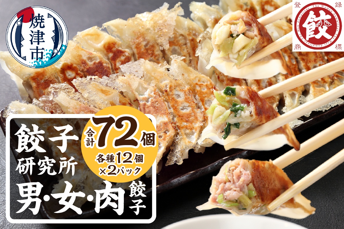 a11-154　餃子研究所 男餃子 女餃子 肉餃子 食べ比べ セット