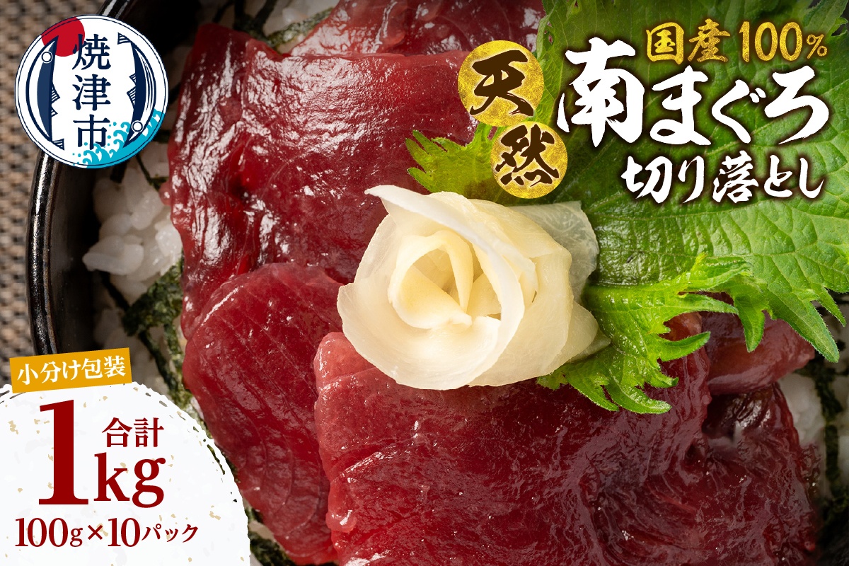 a12-278　天然 ミナミマグロ 切り落し 小分け 焼津 海の極 計1kg 100g×10P