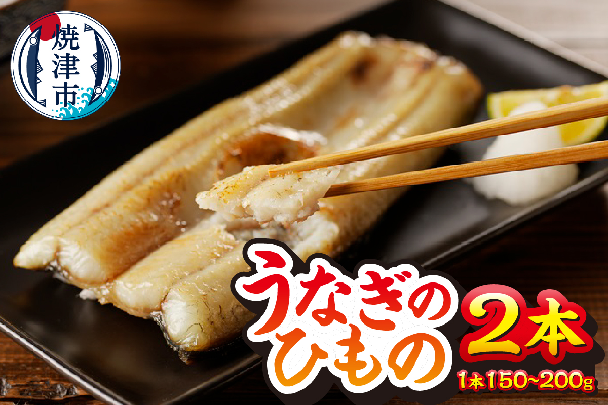 a15-647　珍しい「ウナギのひもの」【静岡産】