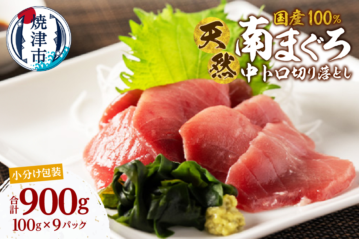 a17-136　天然 ミナミマグロ 中トロ 小分け 焼津 海の極 計900g 100g×9P
