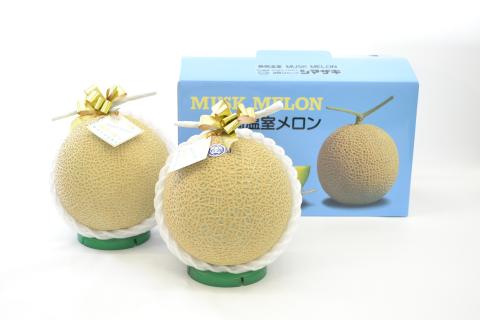 a20-205　静岡マスクメロン【2玉】（白）