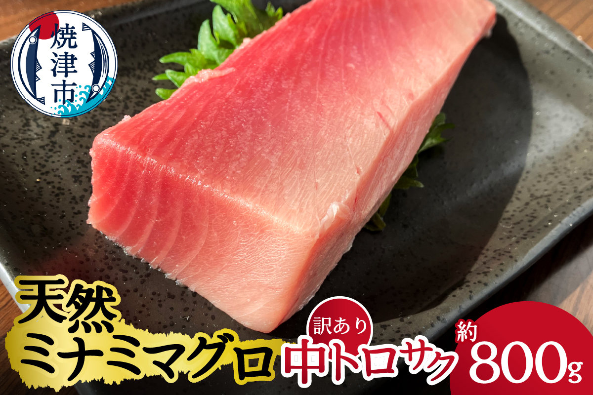 a24-062　天然ミナミマグロ 訳あり 中トロ(サク) 約800ｇ入り