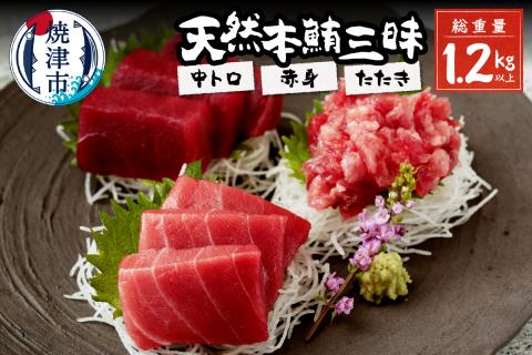 a30-175　総重量約1250g！天然本鮪三昧