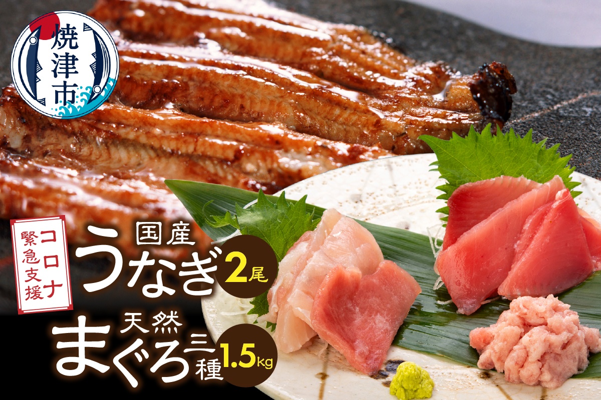 a35-017　家計応援　国産 うなぎ 鰻　バチマグロ ビンチョウマグロ まぐろ たたき　総重量約1.9kg