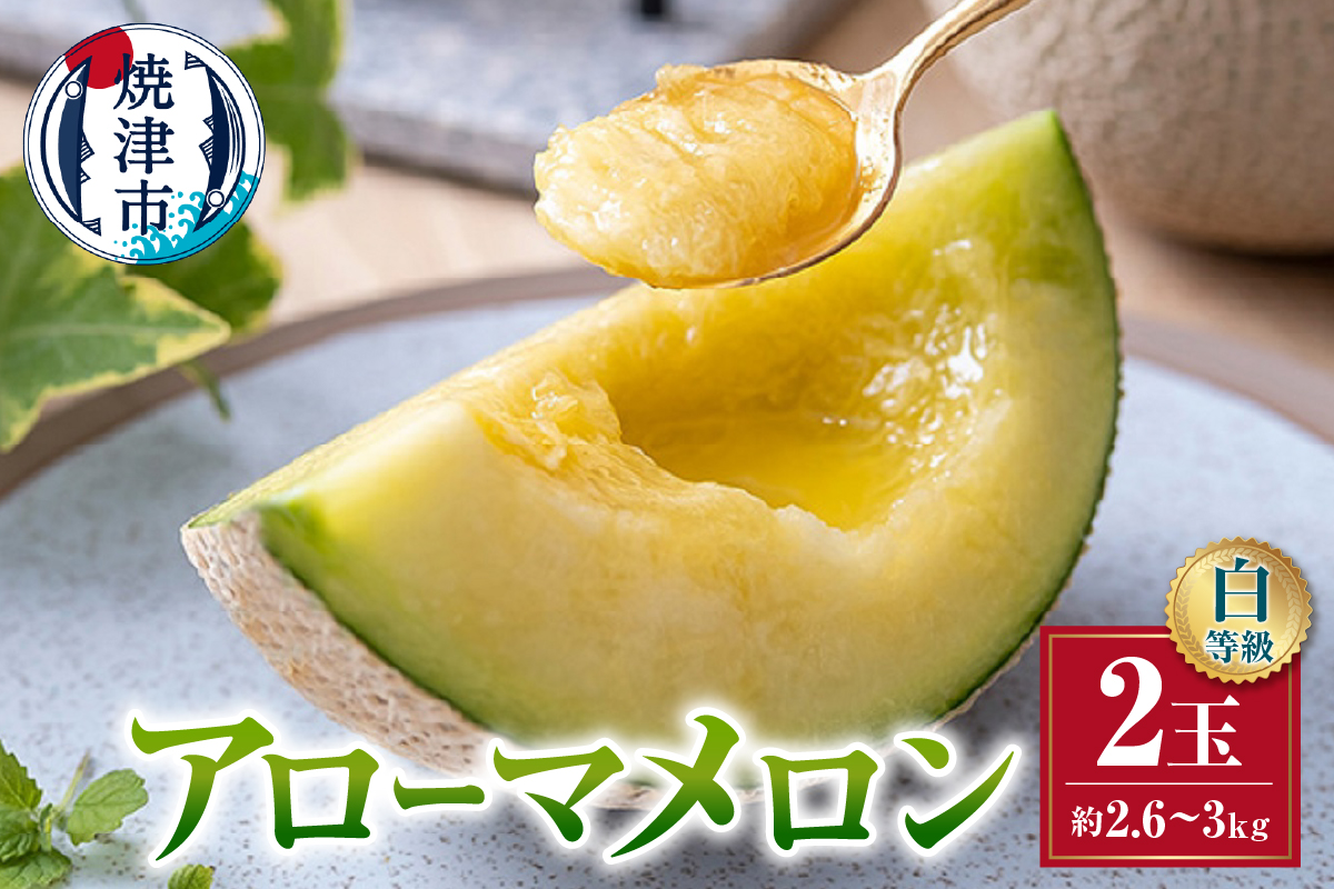 a32-026　メロン 温室 アローマ 果物 ハウス 白等級 2玉 GABA