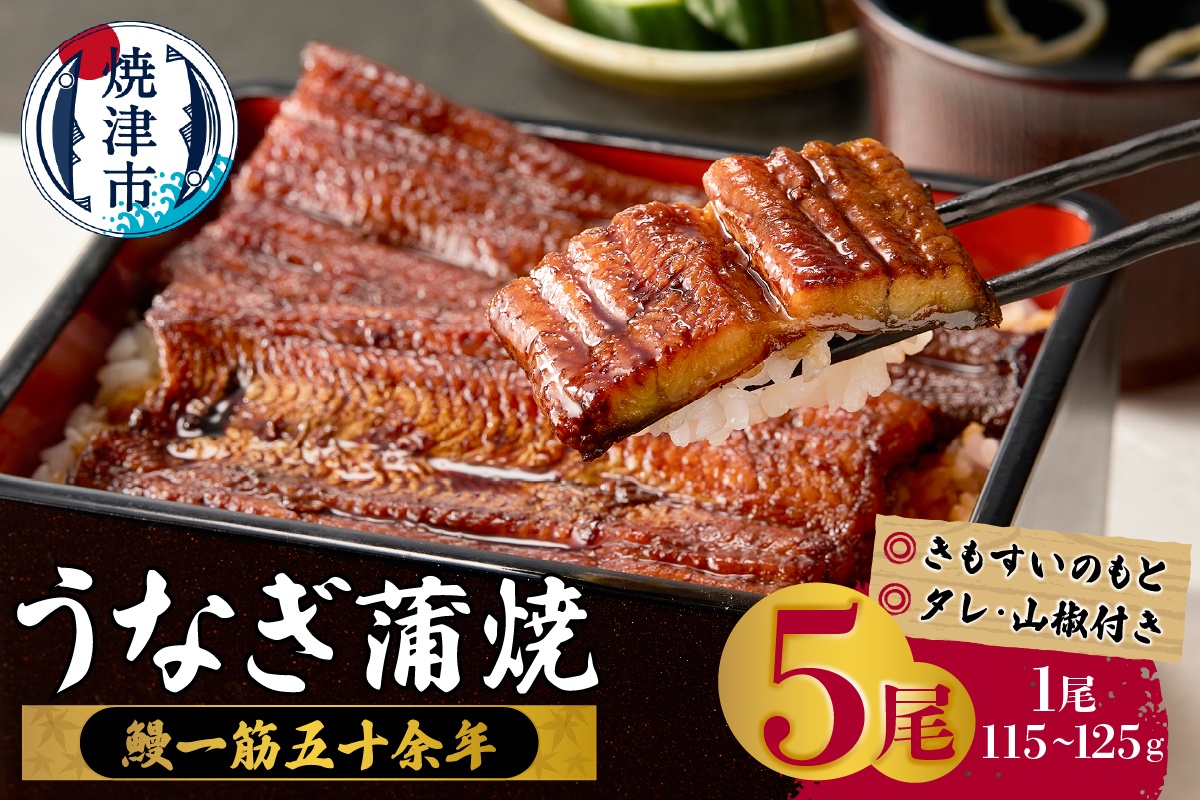 a48-010　鰻蒲焼真空パック〈5人前〉（1人前 115ｇ～125ｇ）