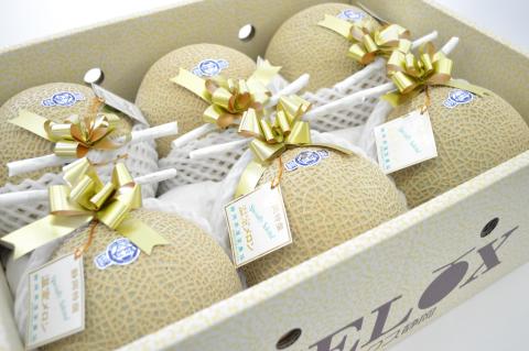 b100-031　静岡マスクメロン【6玉】（山等級）