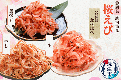 b100-049 【定期便3回お届け】焼津特選桜えび3種類食べ比べ