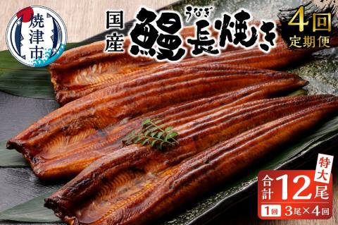 b100-058　【定期便4回】 鰻 長焼き【定期便】