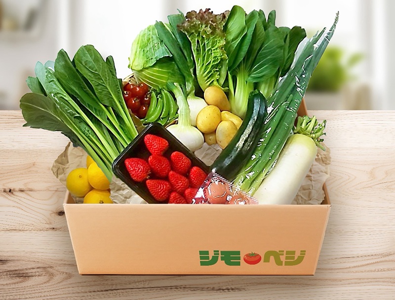 b120-043　【定期便 全12回】ジモベジ 野菜 セット