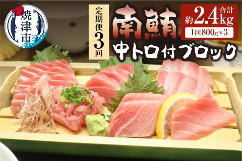 b120-012　【定期便3回】南鮪 中トロ付ブロック 8人前(約800g) ×3回【定期便】