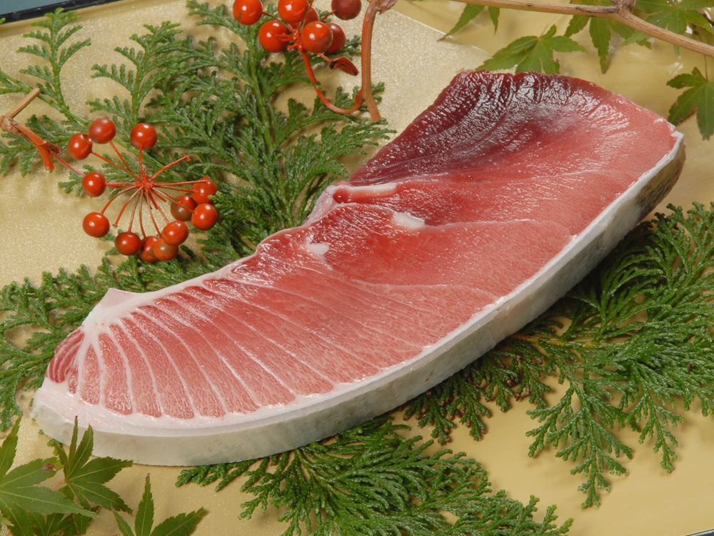 b200-027　【定期便 6回】 南鮪・大トロ・中トロ(約1kg)