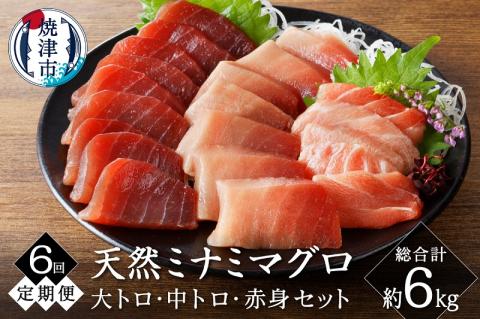 b200-035　【定期便6回】キボシ水産 天然 南鮪 大トロ 中トロ 赤身食べ比べ 約1kg×6回