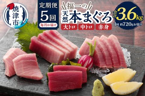 b200-036　【定期便】 天然本まぐろセット 5回届け