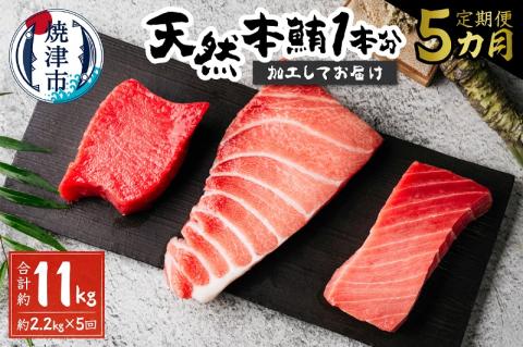 b500-011　【定期便5回】天然本鮪 一本分を加工してお届け