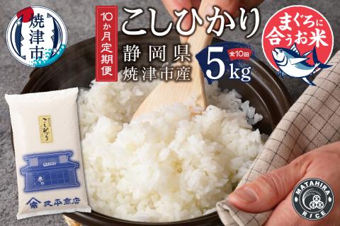 定期便10回 令和5年産新米 マグロに合う焼津のお米 こしひかり 5kg