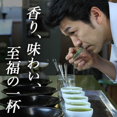 深蒸し掛川茶「かけがわ育ちW」100g×4袋セット【配送不可地域：離島・沖縄県】