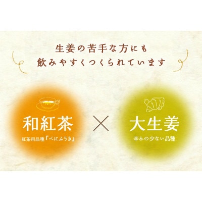 優しいしょうが紅茶「ジンジャーティー」(紅茶、生姜、共に掛川産)ティーバッグ2g×13入り×5袋【配送不可地域：離島・沖縄県】