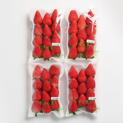 静岡県掛川市産　ミズノ農園の完熟いちご「すずの薫り」　約280g×4パック【配送不可地域：離島・北海道・沖縄県・東北・中国・四国・九州】