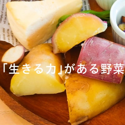 【フードロス対応・規格外】有機ジャガイモ 3kg　訳あり    季節限定(12～3月発送)【配送不可地域：離島・北海道・沖縄県】