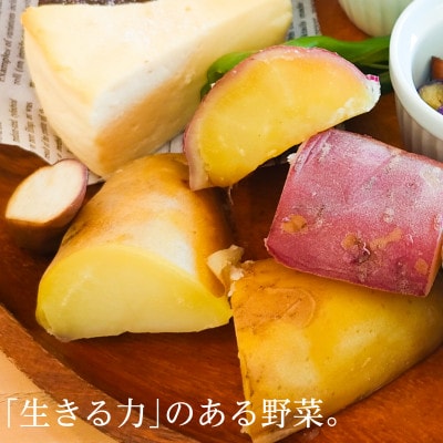 【フードロス対応・規格外】有機サツマイモ　訳あり　有機JAS　期間限定(12～3月発送)【配送不可地域：離島・北海道・沖縄県】