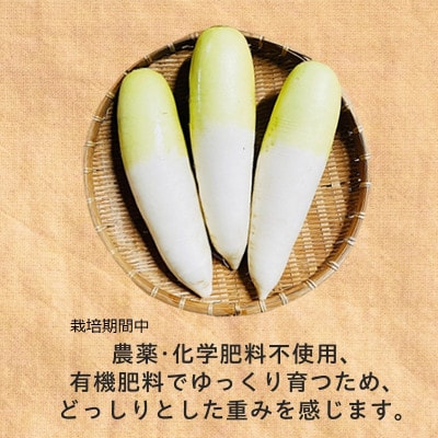 【フードロス対応・規格外】　有機大根　訳あり　有機JAS　冬季限定(12～3月発送)【配送不可地域：離島・北海道・沖縄県】