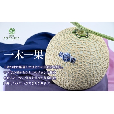 高級クラウンマスクメロン白級　1.3kg以上×2玉入り【配送不可地域：離島・北海道・沖縄県・中国・四国・九州】