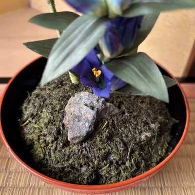 【秋りんどう】四季を彩る創作草もの盆栽(工芸品)～工房椿【配送不可地域：離島・北海道・沖縄県】