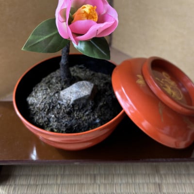 【冬 わびすけつばき】四季を彩る創作草もの盆栽(工芸品)～工房椿【配送不可地域：離島・北海道・沖縄県】