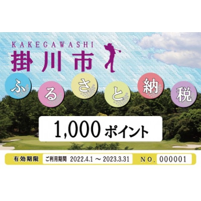 静岡よみうりカントリークラブ ゴルフ・プレー補助券　3,000ポイント分【配送不可地域：離島・沖縄県】