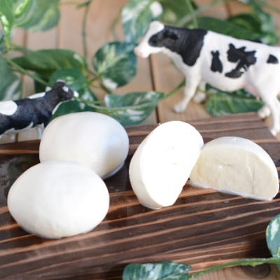 うしづまチーズ工場　ナチュラルチーズ3種セット【配送不可地域：離島・北海道・沖縄県・四国・九州】