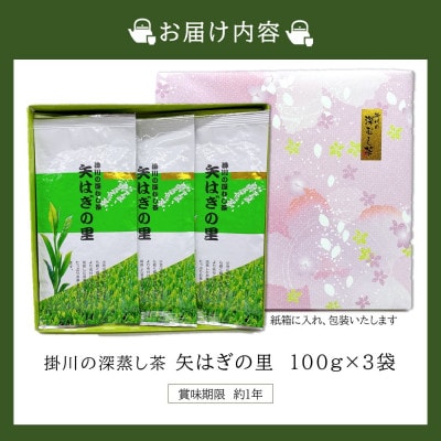 新茶 「矢はぎの里」100g×3本箱入り 掛川市産深蒸し茶 旨いっ!茶農家直送こだわりの味【配送不可地域：離島・沖縄県】