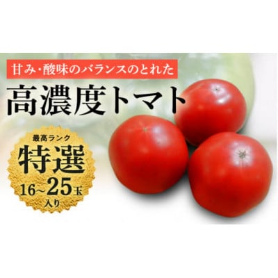 【特選】トマト 美味しんぼに登場したトマト「桃太郎」16～25玉 ランク:特選　糖度9度以上【配送不可地域：離島・沖縄県】