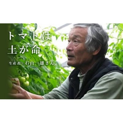 【特選】トマト美味しんぼに登場した『桃太郎』12～20玉 ランク:特選　糖度9度以上【配送不可地域：離島・沖縄県】