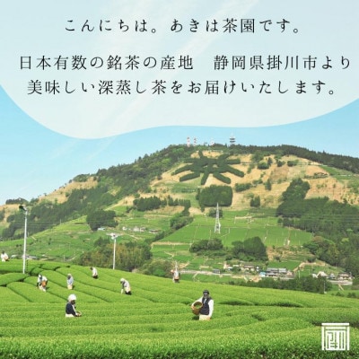 最高級煎茶「東山」100g×3袋セット 2025年度産【配送不可地域：離島・沖縄県】
