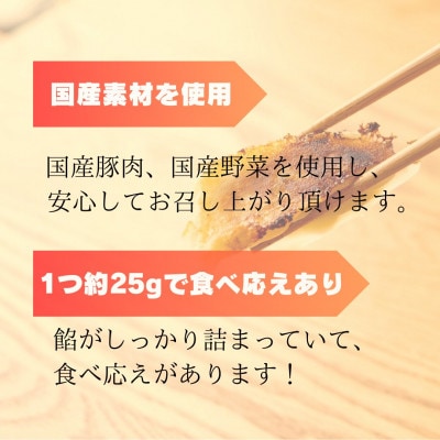 創業昭和五十三年　すすきの　冷凍にんにく生餃子　25g×11個　8パック　計88個【餃子のタレ付き】【配送不可地域：離島・北海道・沖縄県・四国・九州】