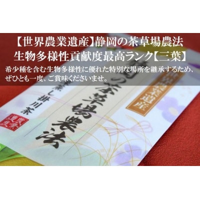 世界農業遺産 茶草場農法 深蒸し掛川茶 100g×3袋 静岡県掛川産 煎茶 一番茶【配送不可地域：離島・沖縄県】