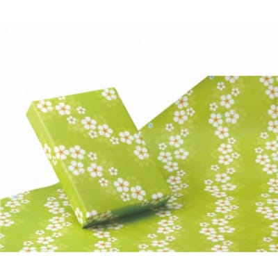 山東受賞記念茶 大臣賞受賞茶園 深蒸し掛川茶 80g×3袋 箱入り包装済み【配送不可地域：離島・沖縄県】