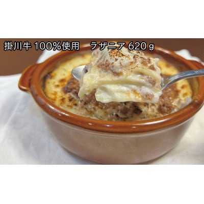 掛川牛がごろごろはいったラザニアとドリアの食べ比べセット【配送不可地域：離島・北海道・沖縄県・四国・九州】