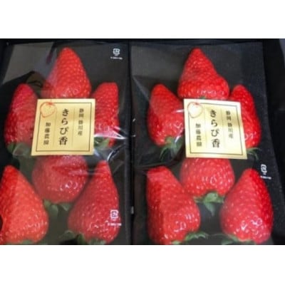 【先行受付】いちご【きらぴ香】1箱 (1箱4パック入り 約250g×4)【配送不可地域：離島・北海道・沖縄県・四国・九州】