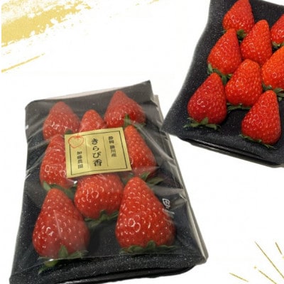 【先行受付】いちご【きらぴ香】1箱 (1箱2パック入り 約250g×2)【配送不可地域：離島・北海道・沖縄県・四国・九州】