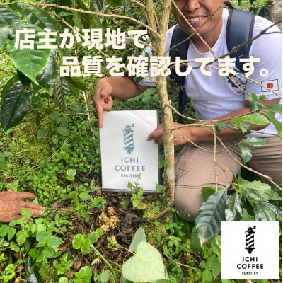 ジャコウネコ由来の希少コーヒー 野生コピルアック珈琲・掛川自家焙煎で丁寧に仕上げた贈答品 100g【配送不可地域：離島・沖縄県】